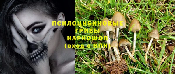 МДМА Белокуриха